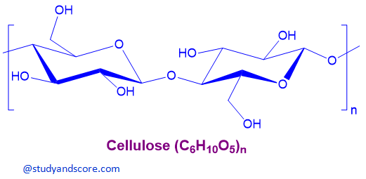 cellulose, chemicals of cell wall, chemical structure of cellulose